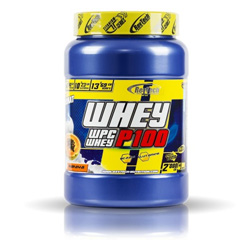 REVTEH-WHEY-WPC-9100-2KG